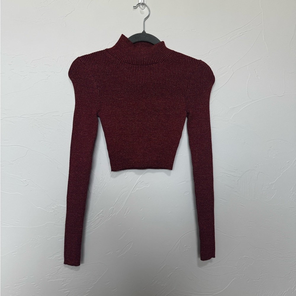 NWOT Zara Long Sleeve Ribbed Turtleneck Sweater
